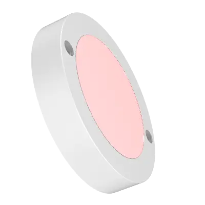 FLAT ( Stricker )